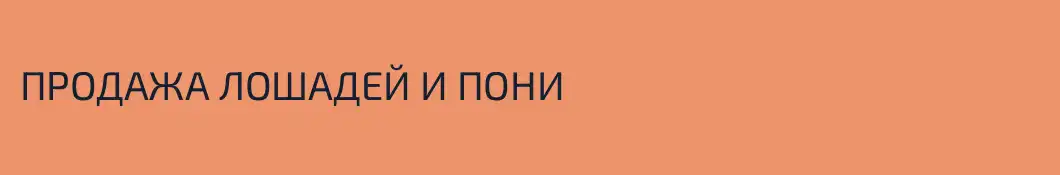 ПРОДАЖА ЛОШАДЕЙ И ПОНИ